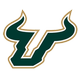 University of South Florida